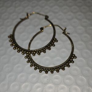 Elegant Gold Hoop Earrings